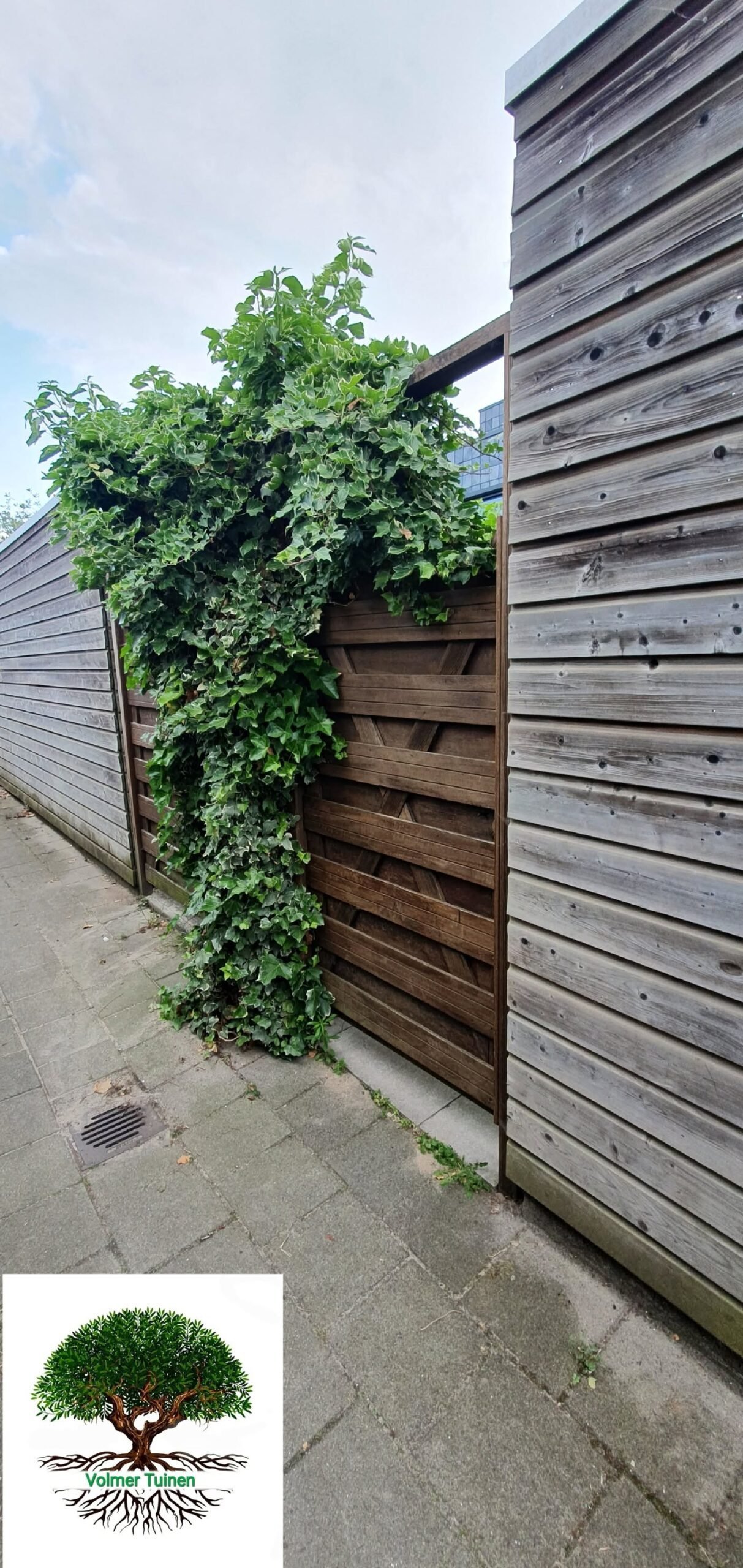 Tuinproject van Volmer Tuinen – foto 27