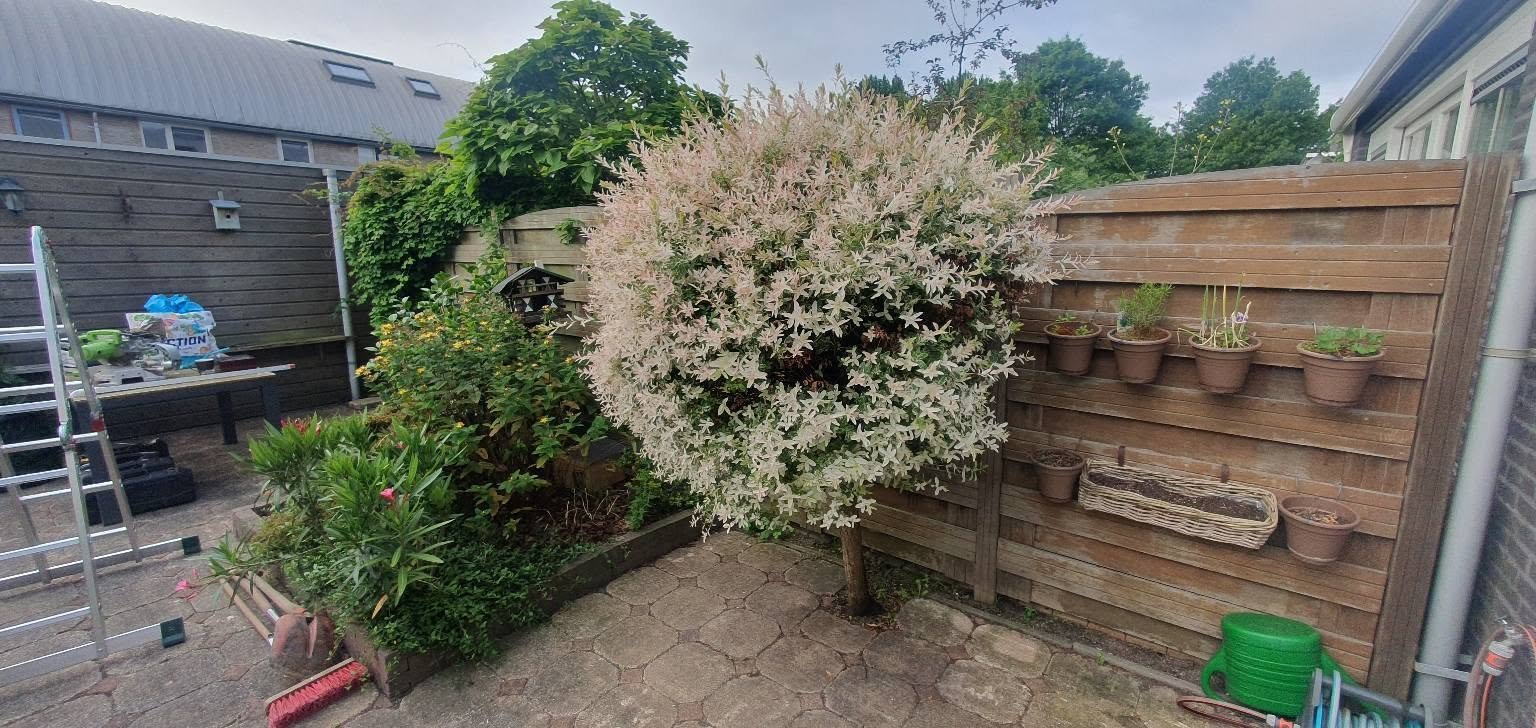 Tuinproject van Volmer Tuinen – foto 1
